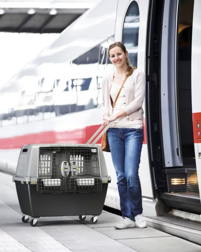 Gulliver szállítódoboz - szürke, 80 x 58 x 62 cm