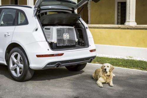 Gulliver szállítódoboz - szürke, 80 x 58 x 62 cm