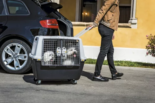 Gulliver szállítódoboz - szürke, 80 x 58 x 62 cm