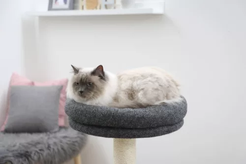 Fridolin macskabútor - 55 x 52 x 106 cm