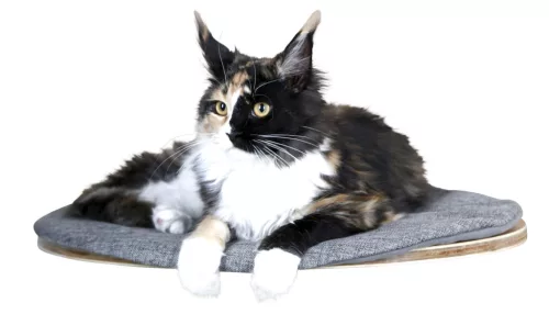 Tofana fali pihenő macskáknak - 50 x 35 x 1,5 cm