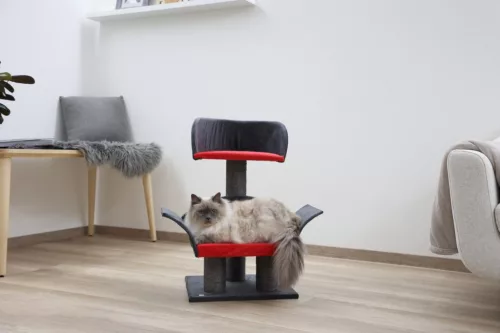 Deluxe macskabútor - szürke / piros, 70 cm