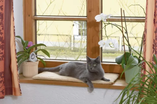 Párna macskáknak - 60 x 26 x 2 cm