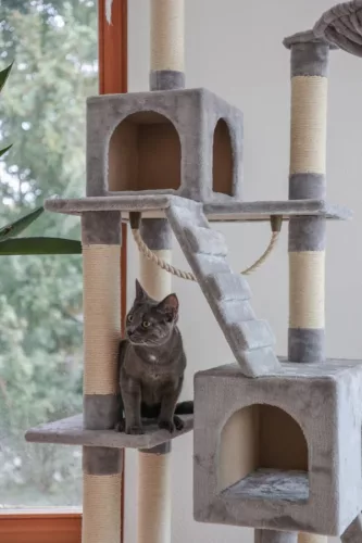 Négyszögletes macskabútor - szürke, 59 x 50 x 178 cm