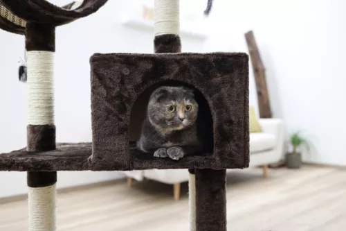 Safari Big macskabútor - barna, 60 x 36 x 122 cm