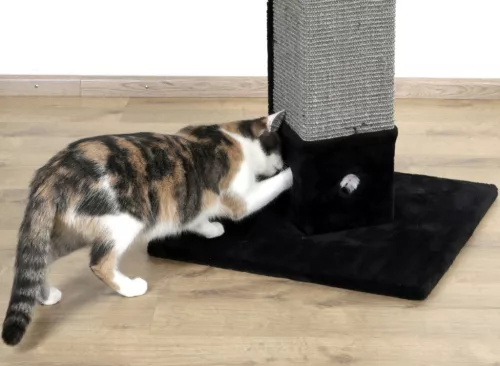 4-corner kaparófa - fekete