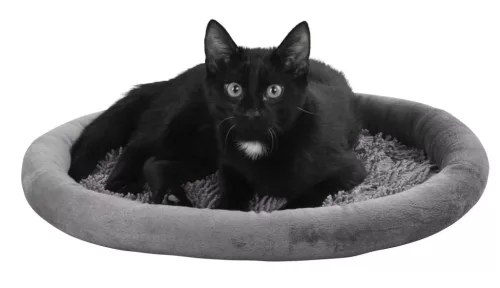 Sweety macskapárna - szürke, 40 x 40 x 4 cm