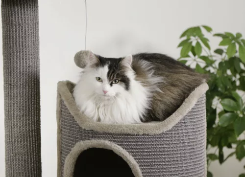 Tiana macskabútor - szürke, 70 x 56 x 130 cm