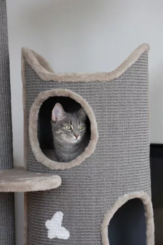 Tiana macskabútor - szürke, 70 x 56 x 130 cm