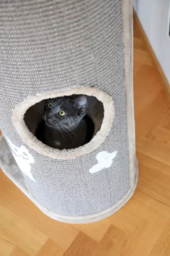 Tiana macskabútor - szürke, 70 x 56 x 130 cm