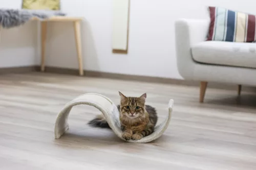 Wave kaparófa - bézs, 51 x 28,5 x 18 cm