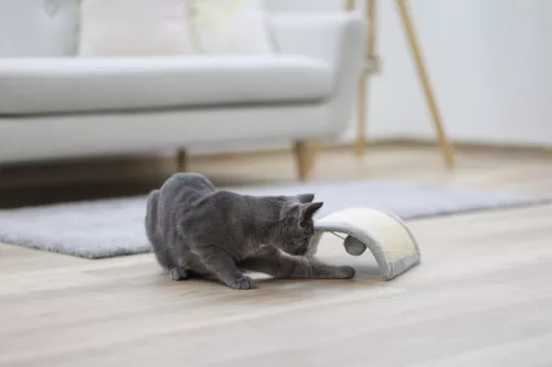 Half Moon kaparófa - szürke, 26 x 22 x 11 cm