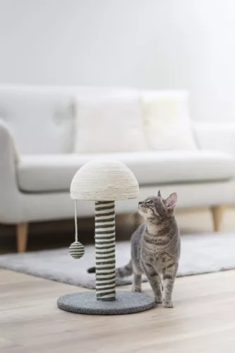 Funghi kaparófa - szürke, 30 x 30 x 42 cm