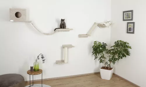 Mount Everest mászófal macskáknak