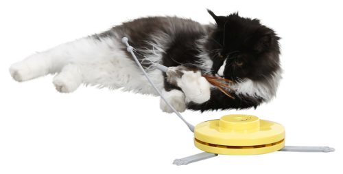 2 az 1-ben macskajáték - 70 x 53 x 5 cm