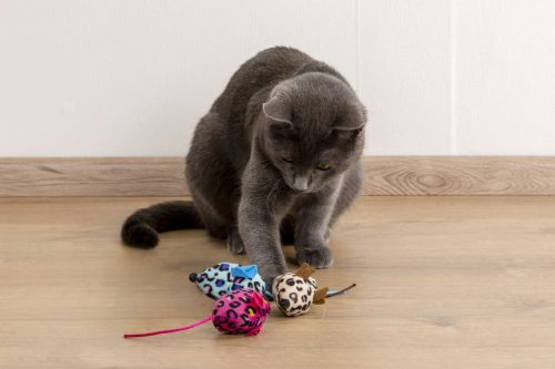 Játékegér macskáknak - vegyes színekben, 6,5 cm