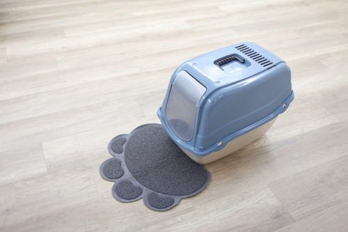 Szőnyeg macskatoalett elé - 47 x 40 cm