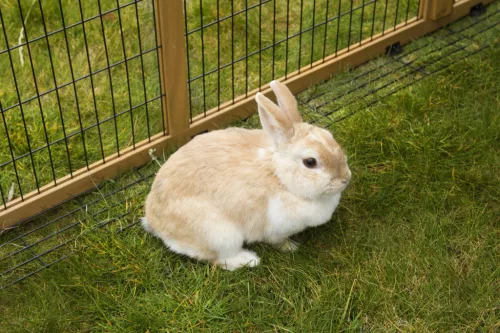 Kültéri kisállatház - 220 x 115 x 75 cm