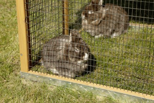 Appartement Pro fa rágcsálóketrec - 115 x 85 x 90 cm