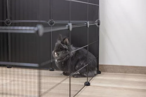 Kültéri nyitott ketrec - 12 elemes