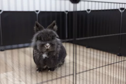 Kiegészítő műanyag fal elem 81744-es nyitott ketrechez - 6 db