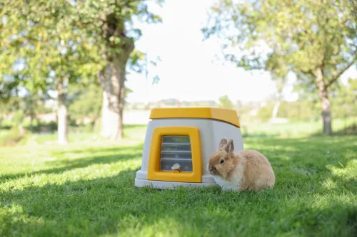 Bunny Base nyúlház - komplett szett