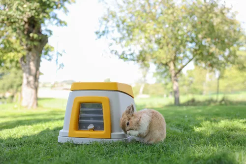 Bunny Base nyúlház - komplett szett