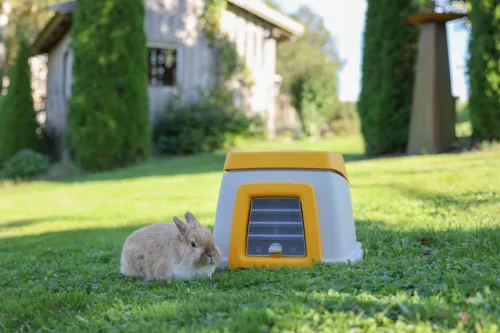 Bunny Base nyúlház - komplett szett