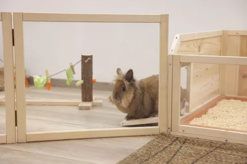 Beltéri elválasztó rágcsálóknak - 4 részes, 58 x 48 cm