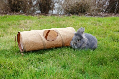 Rágcsálócső - 50 x 18 cm