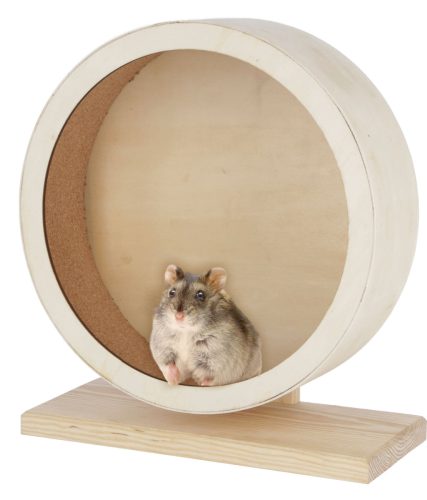 Hörcsögkerék - fa / parafa, 30 cm