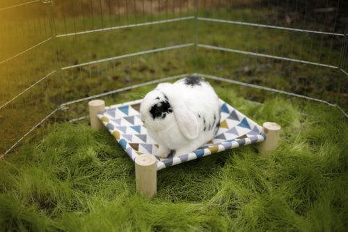 Függőágy rágcsálóknak - 38 x 38 cm