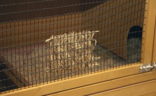 Felakasztható fűmatrac - 15 x 12 cm