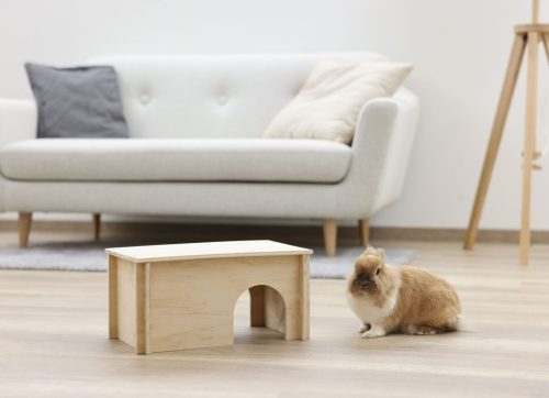 Rágcsáló búvóhely kezeletlen fából - 38 x 23 x 19 cm