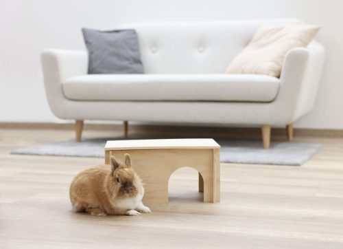 Rágcsáló búvóhely kezeletlen fából - 38 x 23 x 19 cm