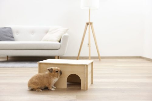 Rágcsáló búvóhely kezeletlen fából - 50 x 29 x 24 cm