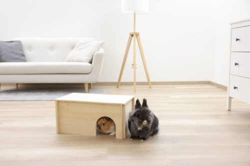 Rágcsáló búvóhely kezeletlen fából - 50 x 29 x 24 cm