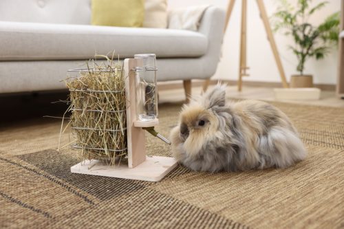 Itató és szénaállomás nyulaknak - 22.5 x 15.5 x 27 cm