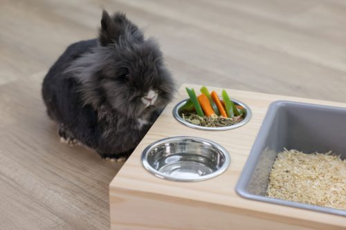 Ásó- és etetőállomás nyulaknak és tengerimalacoknak - 70 x 36 x 24 cm