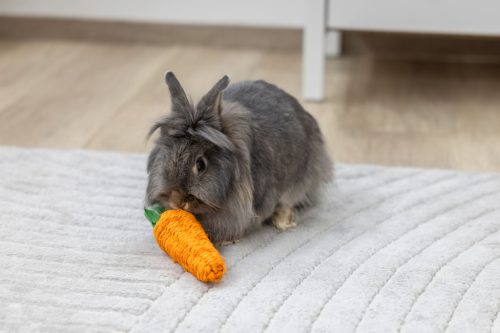 Szizálrost répa - nyúljáték, 18x5x5 cm