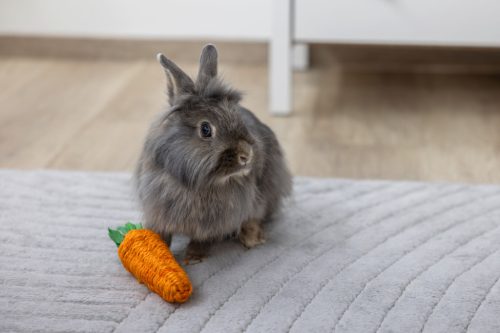 Szizálrost répa - nyúljáték, 18x5x5 cm