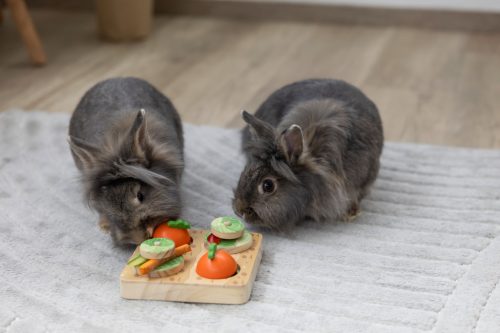 Veggie gondolkodó és tanulójáték rágcsálóknak - 15x15x6 cm