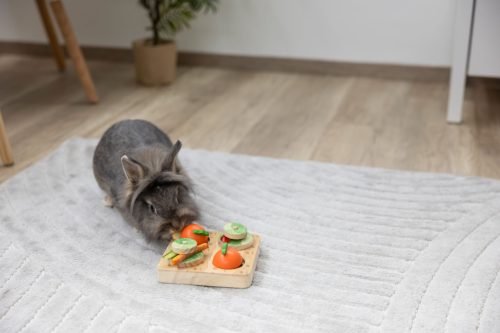 Veggie gondolkodó és tanulójáték rágcsálóknak - 15x15x6 cm