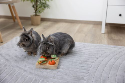 Veggie gondolkodó és tanulójáték rágcsálóknak - 15x15x6 cm