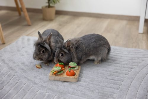 Veggie gondolkodó és tanulójáték rágcsálóknak - 15x15x6 cm