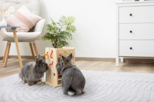 Széna- és zöldségtároló torony - 24x24x30 cm