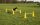 Agility ugrószett három akadállyal - sárga