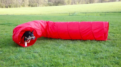 Agility kutya alagút - piros, 5 m, 60 cm