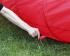 Agility kutya alagút - piros, 5 m, 60 cm