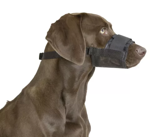 Nylon szájkosár - 20 – 26 cm, 9,5 cm, 19 - 39 cm